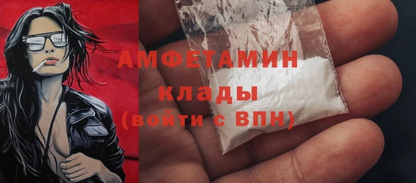 СК Алексин