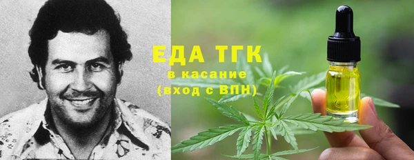 СК Алексин