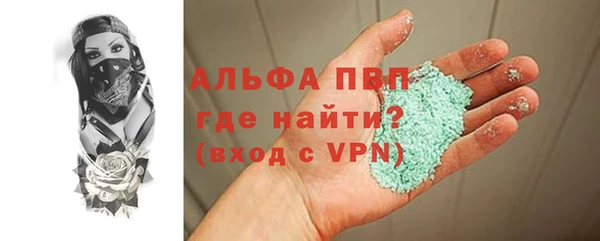 СК Алексин