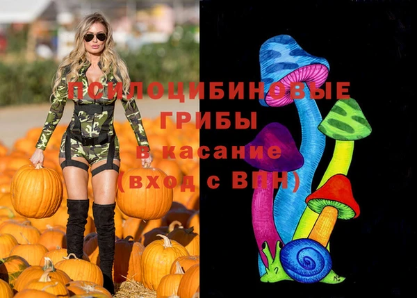 СК Алексин
