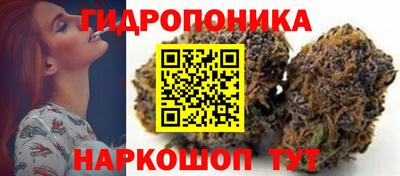 spice Владивосток