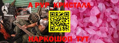 spice Владимир