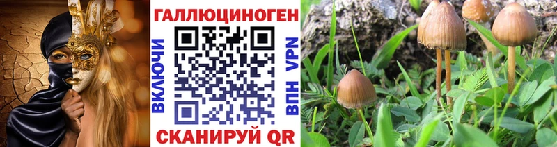 купить Батайск Галлюциногенные грибы Psilocybine cubensis
