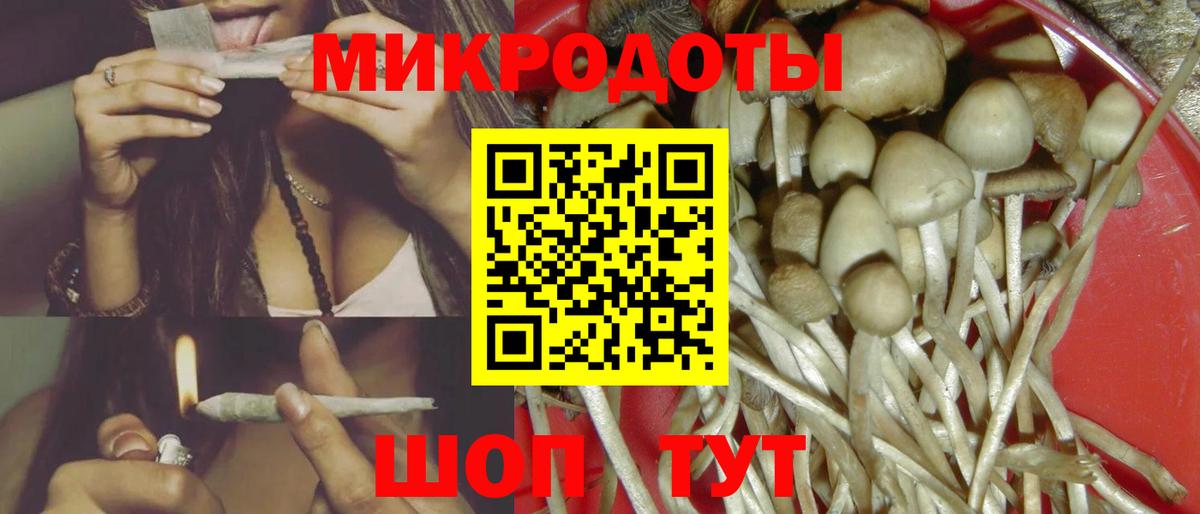 Галлюциногенные грибы Cubensis Батайск